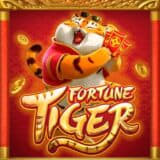 melhores horarios fortune tiger ícone